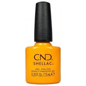 Shellac Among The Marigolds