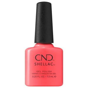 Escapade à la plage de Shellac