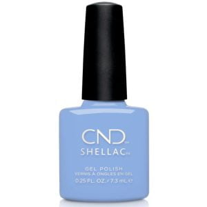 Shellac Chance Taker