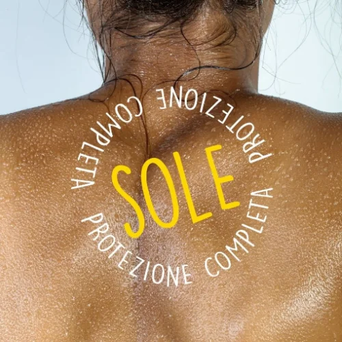 LIGNE SOLAIRE MICROCOSME