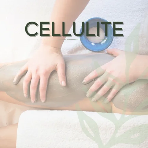 CELLULITE FIBREUSE