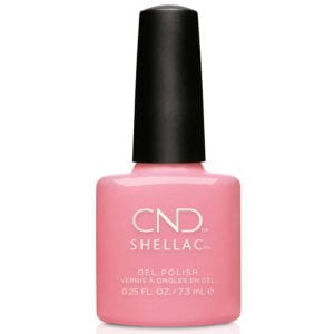 shellac gotcha