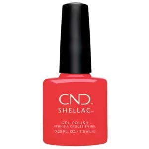 shellac hot or knot