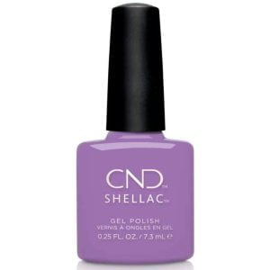 shellac it's now or never