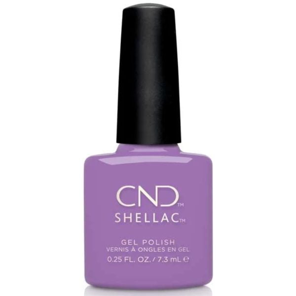 Shellac It's Now or Never