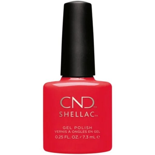 Shellac Mambo Beat