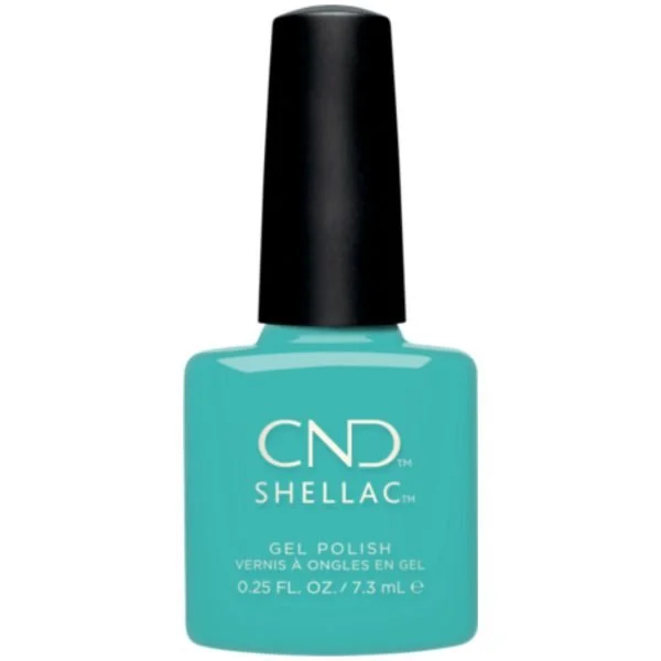 Shellac Oceanside