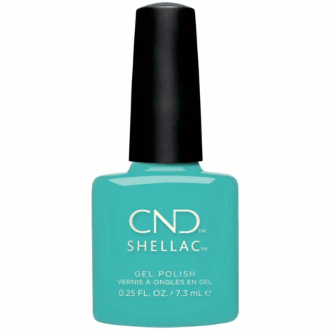 Shellac Oceanside