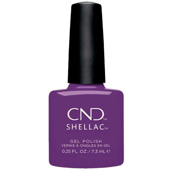 Shellac Temptation