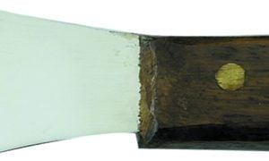 wax spatula