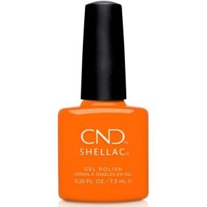 Pique-nique Shellac Popsicle