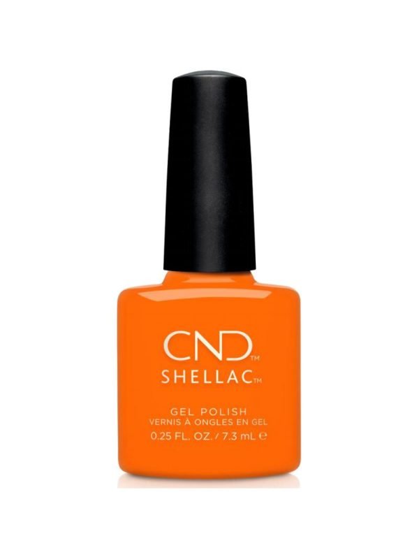 Pique-nique Shellac Popsicle