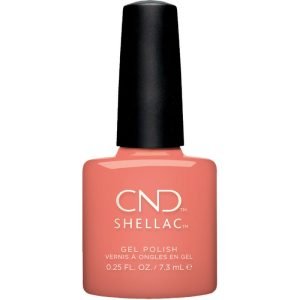 Shellac Spear