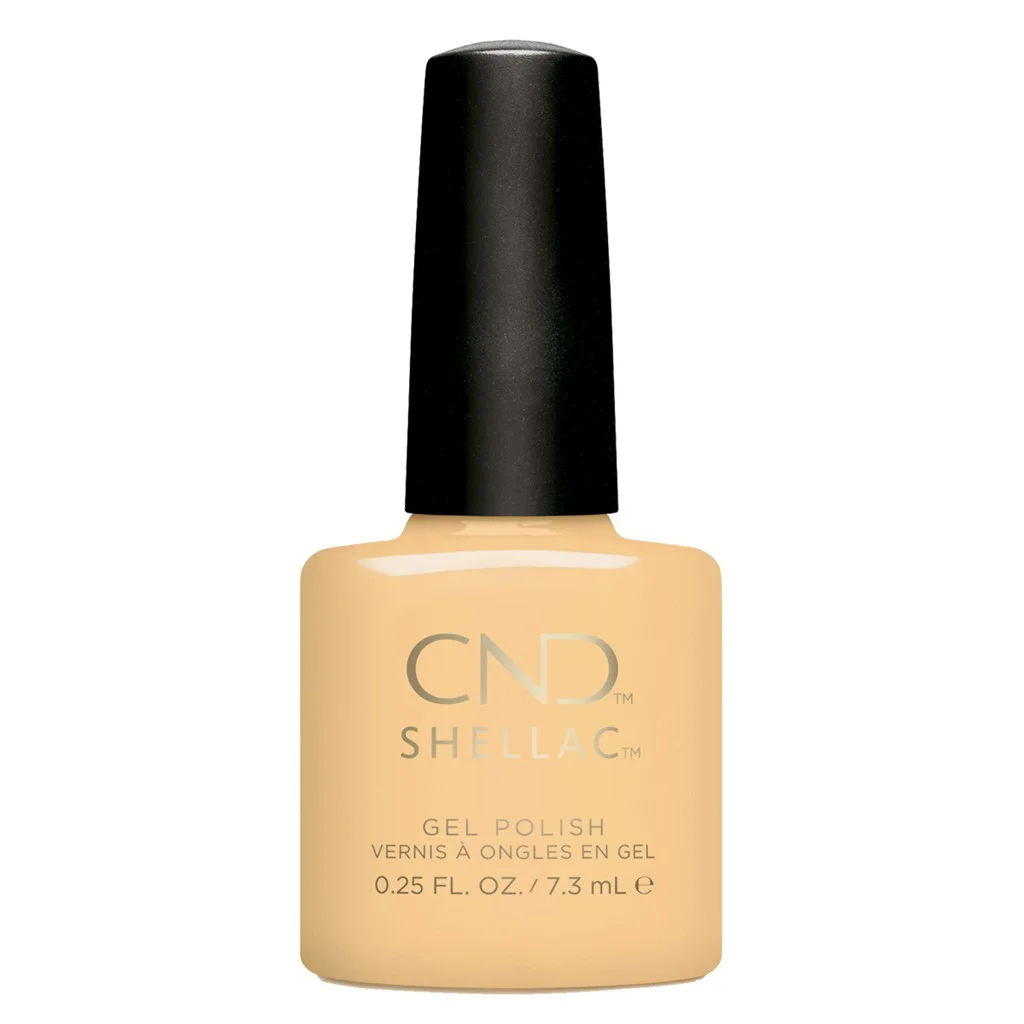 Shellac Vagabond