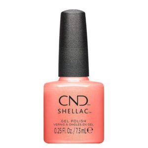 shellac apribot