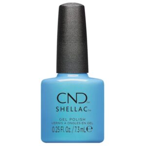 shellac hippie ocracy