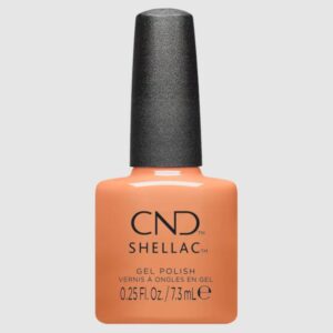 shellac daydreaming