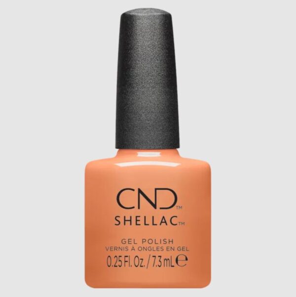shellac daydreaming